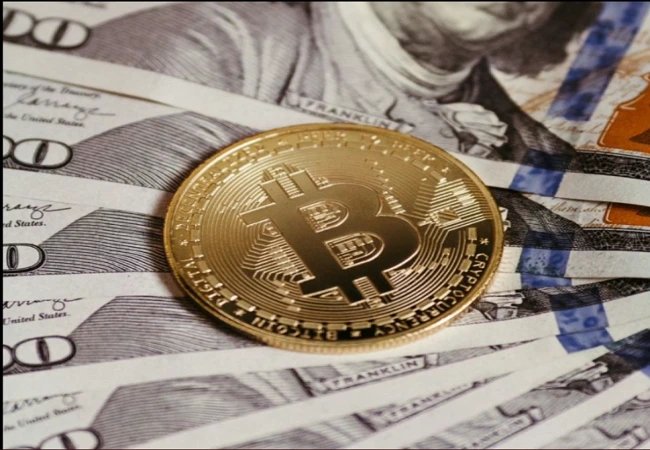 A Complete Guide to the World's First Digital Asset