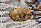 A Complete Guide to the World's First Digital Asset
