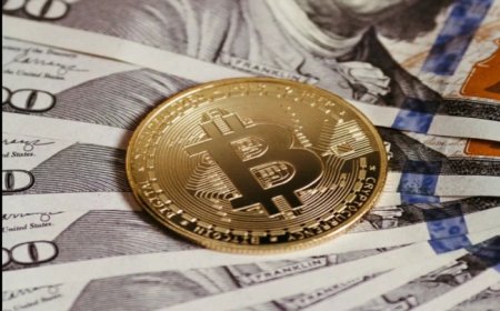 A Complete Guide to the World's First Digital Asset
